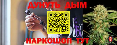 дживик Гай