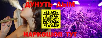 сатива Гатчина
