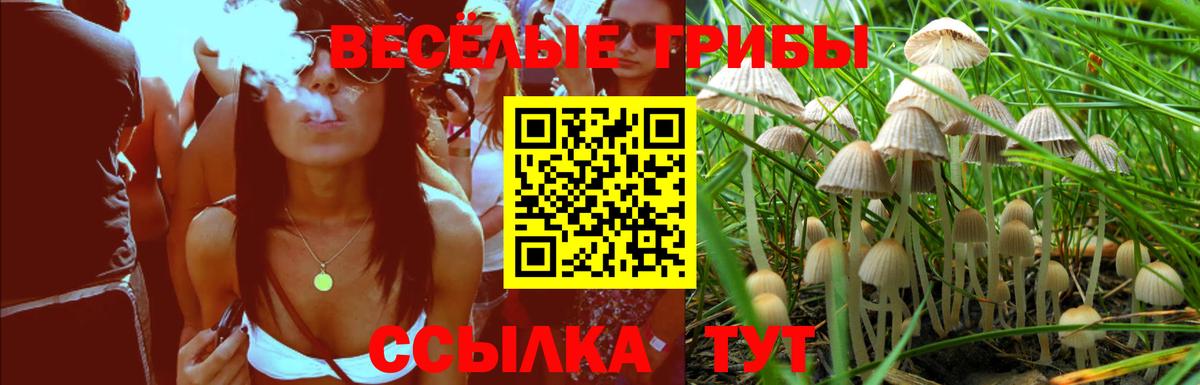 Кумертау  Псилоцибиновые грибы GOLDEN TEACHER  Вход с VPN 